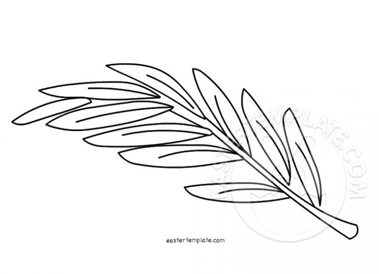 Olive branch coloring page Easter Template