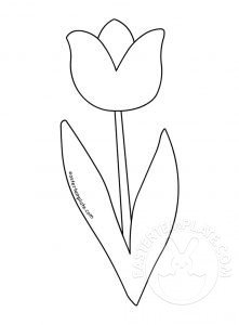 simple tulip