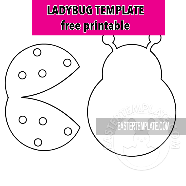 ladybug template

