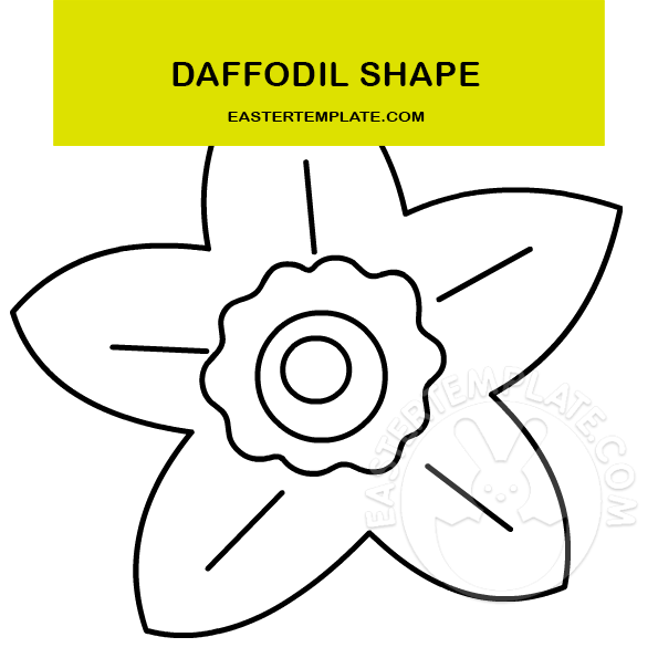 daffodil shape1