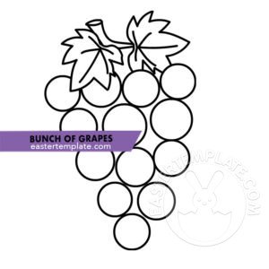 bunch grapes