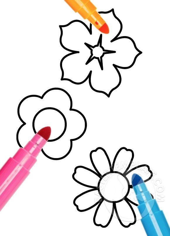 flowers coloring page

