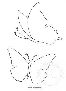 butterfly shapes