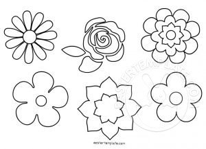 flower shapes set