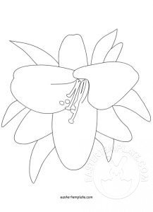 easter lily pattern
