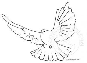 white dove flight