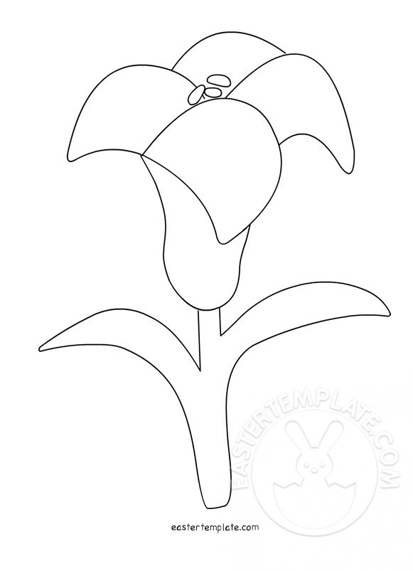 Easter Lily template coloring page | Easter Template