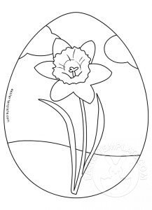 egg daffodil flower