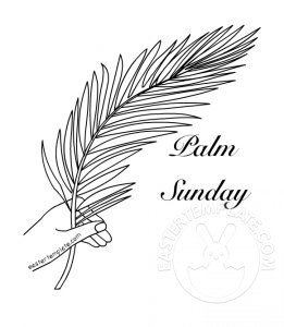 sunday palm leaf