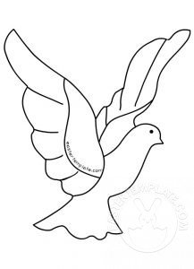 flying dove image 12