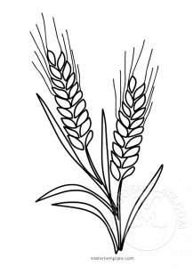 wheat template