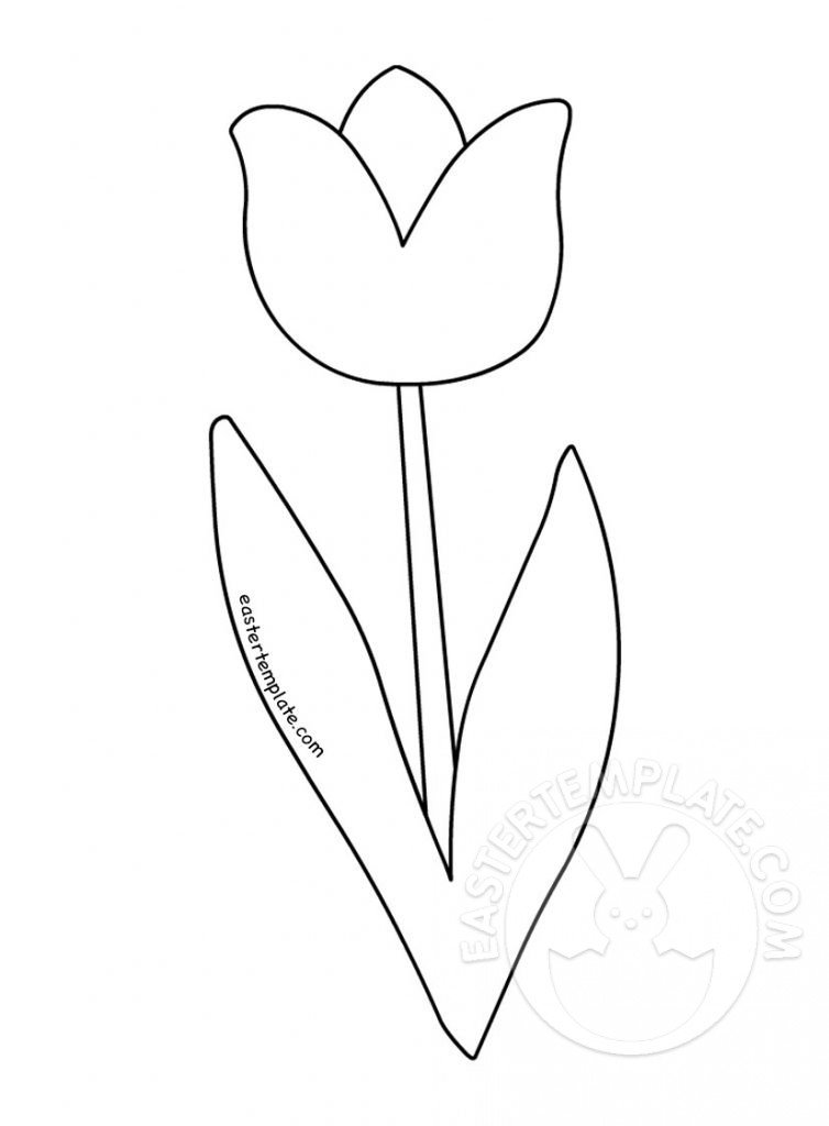 simple tulip