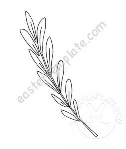 olive branch vector