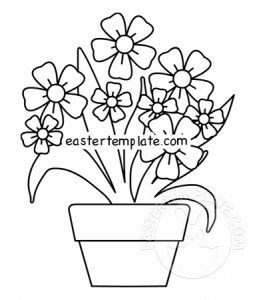 spring flowers pot