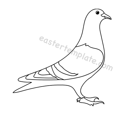 pigeon silhouette