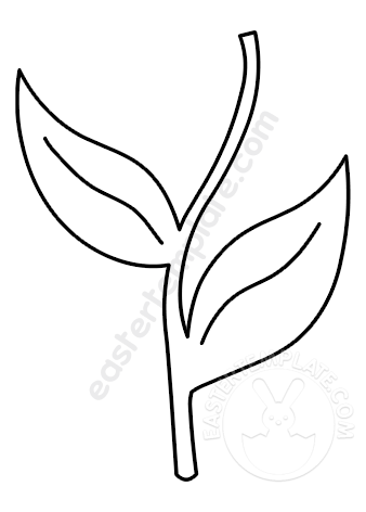 stem leaves