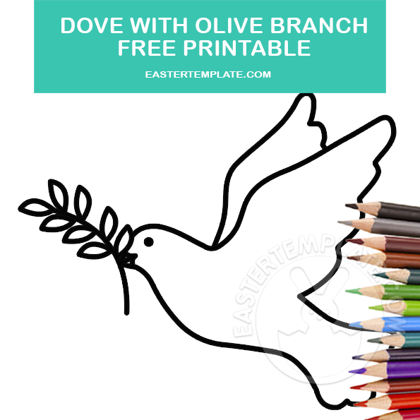 dove olive branch