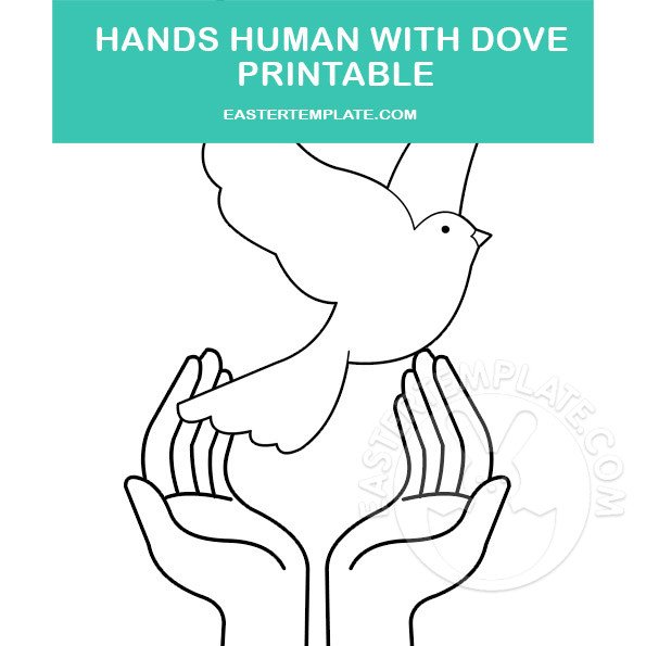 hands human dove