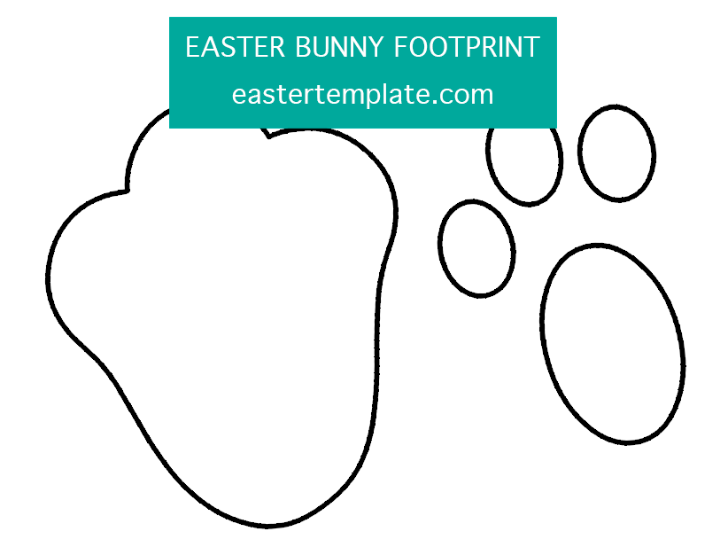 bunny footprint