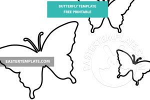 simple butterfly
