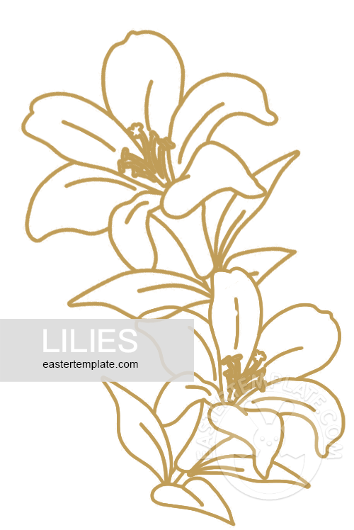 lilies golden outline