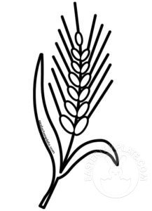 wheat outline