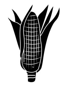corn cob silhouette