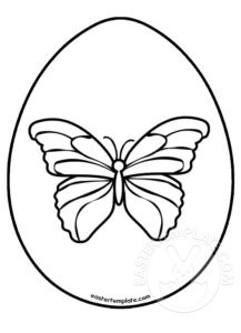 Egg butterfly
