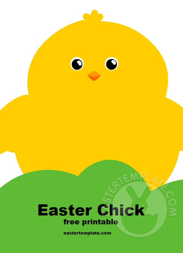 This image has an empty alt attribute; its file name is yellow-baby-chicken.jpg