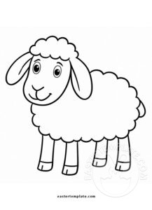 floppy eared sheep