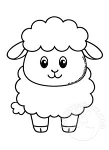 little sheep
