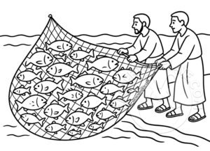 a net full of fish