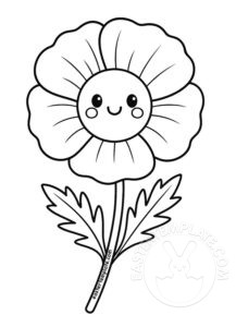poppy flower