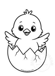 chick hatching from egg
