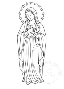 holy mary immaculate