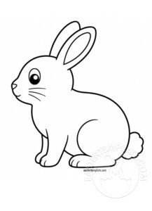 bunny profile